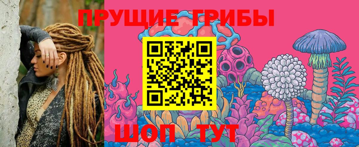 Галлюциногенные грибы GOLDEN TEACHER  Галлюциногенные грибы GOLDEN TEACHER  Городец  Вход с VPN 
