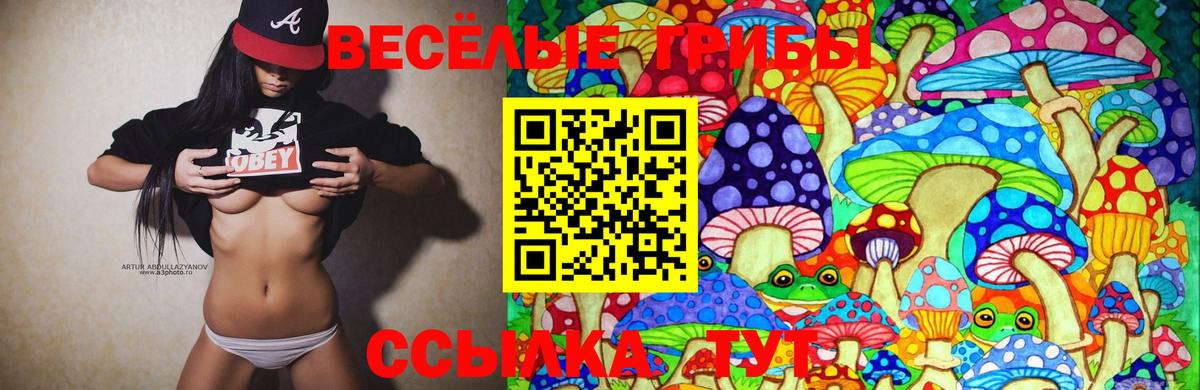 Псилоцибиновые грибы Psilocybe Городец